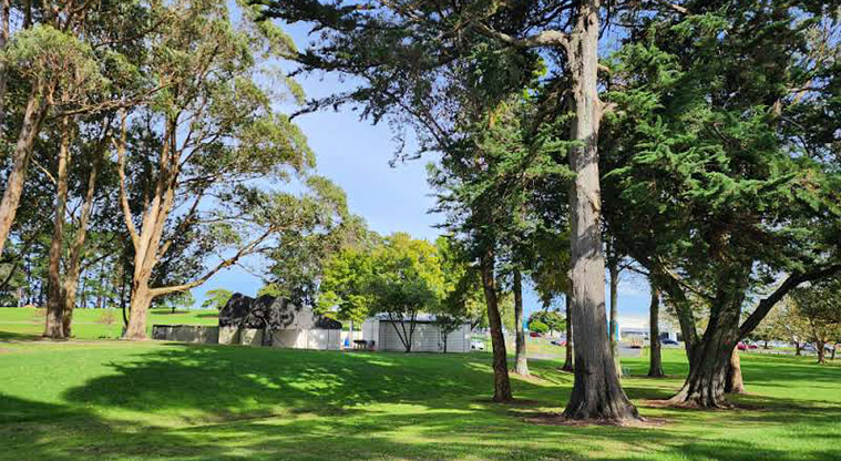 Manu-kau Noa Iho / Hayman Park - Open grassed space with established trees and buildings in the background.
