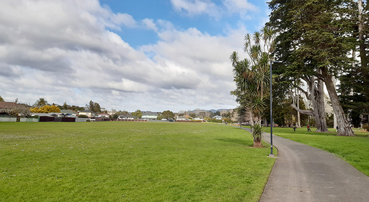 Henderson Park - Sports fields with a path along the right hand side. Photo credit: T Hodder.
