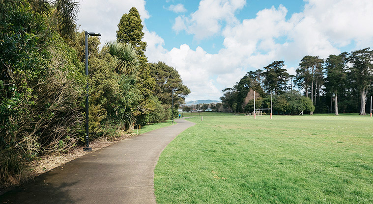Henderson Park - Sports fields with a section of a path running alongside.