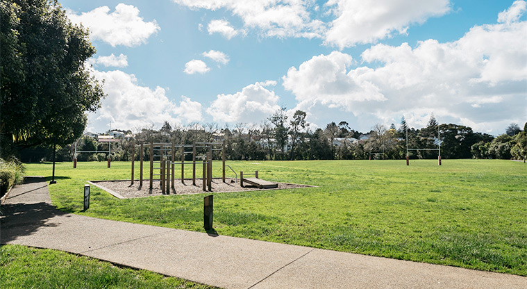 Henderson Park - Fitness equipment with the sports fields in the background.