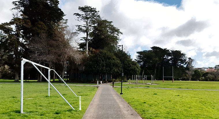 Henderson Park - Sports fields on both sides of a path with fitness equipment in the background. Photo credit: T Hodder.