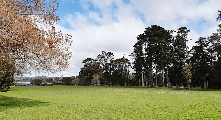 Henderson Park - Sports fields and large trees. Photo credit: T Hodder.