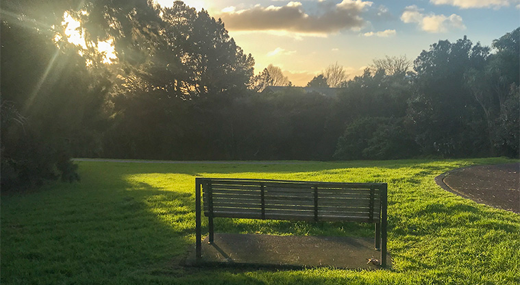 Heron Park - Bench alongside path surrounded by grass.