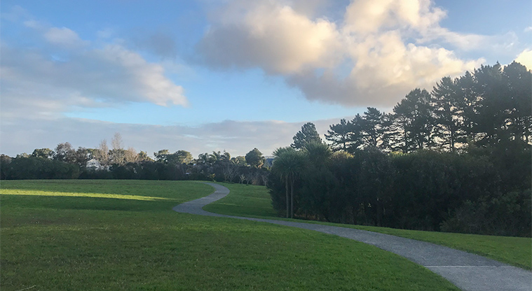 Heron Park - Open field with path and bush on right.