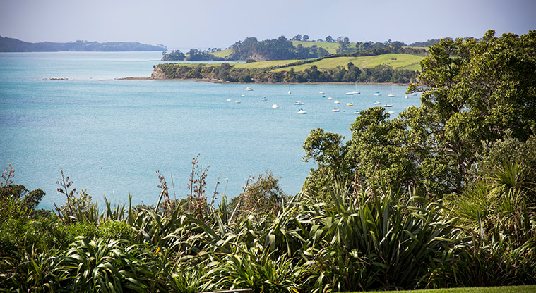 Higfield Garden Reserve - View over Algies Bay. Photo credit: Jay Farnworth.