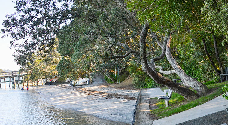 Hilders Park -  A section of the beach and the wharf at the northern end of the park. Photo credit: Aleksandar Ćirilović.