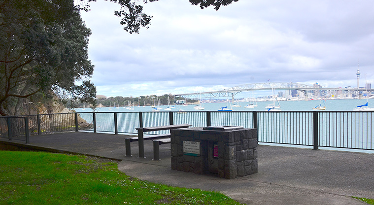 Hinemoa Park - View from the park looking across to Auckland city, with a barbecue in the foreground. Photo credit: Aleksandar Ćirilović.