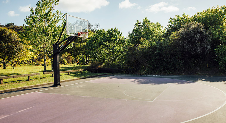 Hooton Reserve - Basketball hoop and back board with trees in the background. Photo credit: Jay Farnworth.