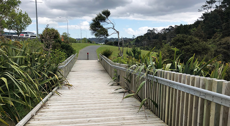 Hooton Reserve - A section of boardwalk along one of the paths through the reserve.