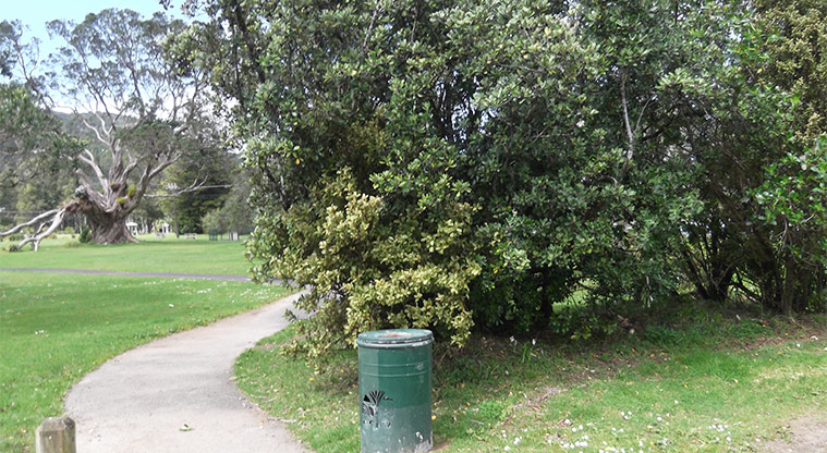 Huai Domain - Path leading into the domain and trees.