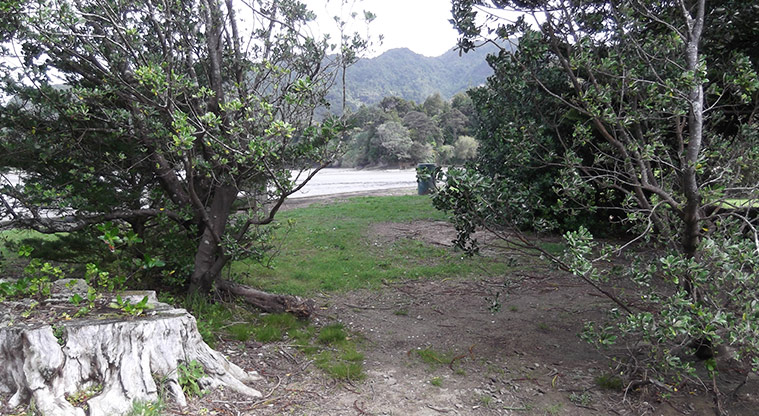 Huai Domain - Looking through trees to Huia Bay.
