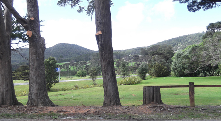 Huai Domain - Open space with Huia Road and hills in the background.