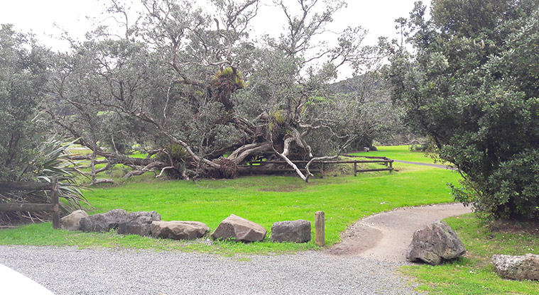 Huai Domain - Path leading into the domain and trees.