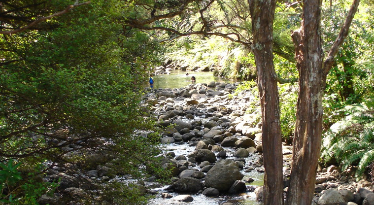 Huia, Waitākere Ranges Regional Park - Karamatura Stream.