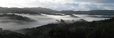 Hūnua Ranges Regional Park