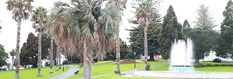 Jellicoe Park