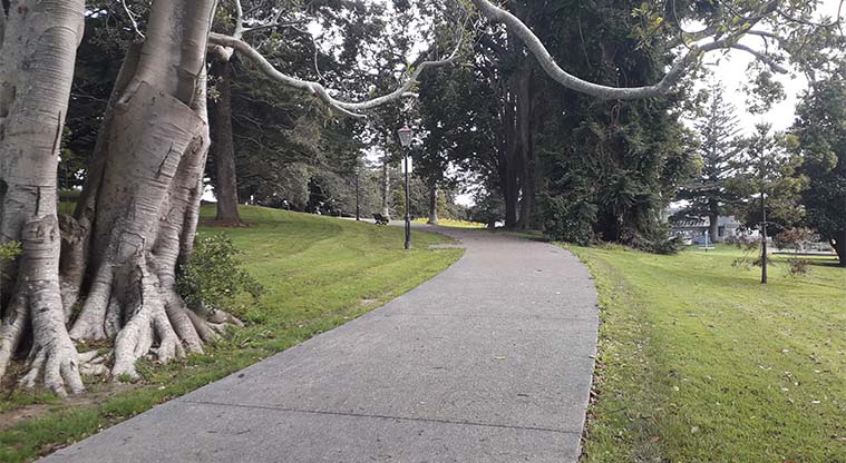 Jellicoe Park - mature trees around the park.
