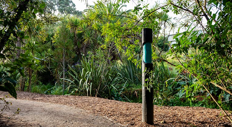 Papa ki Awataha / Jessie Tonar Reserve - A pou on the edge of one of the paths in the reserve.