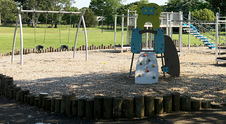 John Moore Reserve - Climbing frame with slide, and bucket swings. Photo credit: S Hulse.