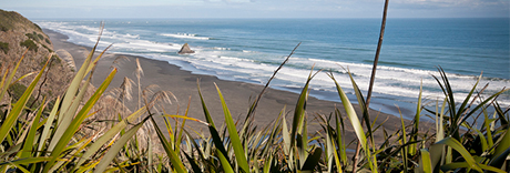 Karekare, Waitākere Ranges Regional Park