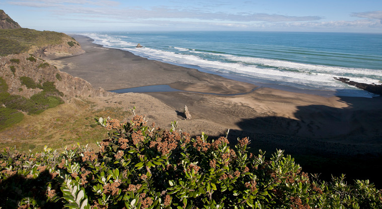 Karekare, Waitākere Ranges Regional Park - view of Union Bay, Karekare Point and Paratahi Island.