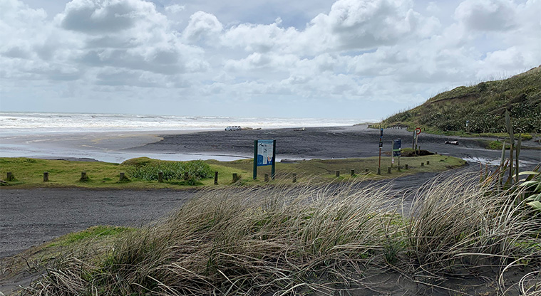 Karioitahi Reserve - Sand dunes with the beach in the background.