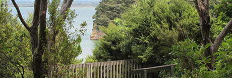 Kauri Point Centennial Park