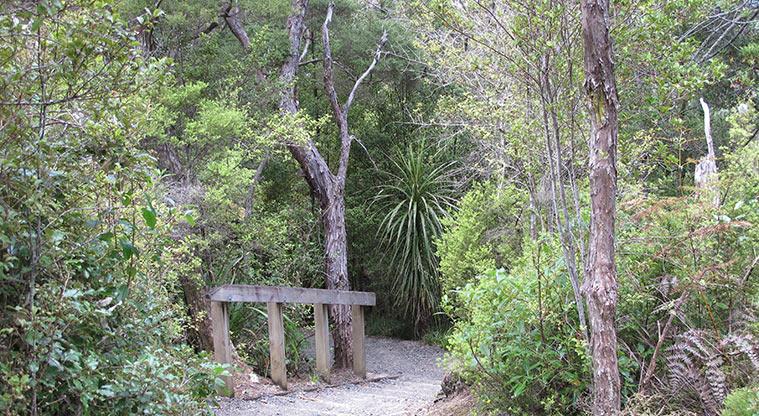 Kauri Point Centennial Park - A section of the path with steps leading down to Kendall Bay.