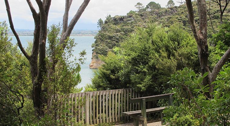 Kauri Point Centennial Park - Lookout point over Waitematā Harbour.