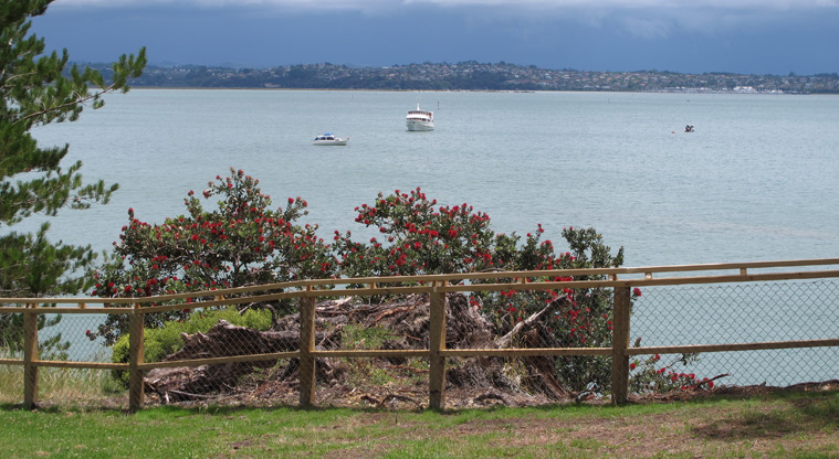 Kauri Point Domain - View over the bay with some moored boats.