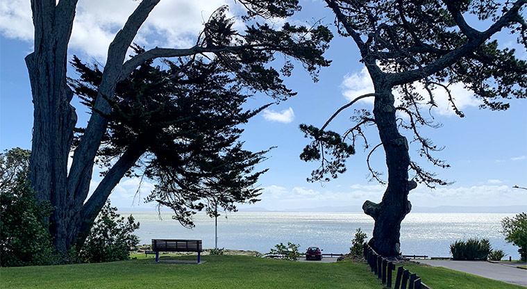 Te Pua / Keith Park - Grass area leading to a bench with view of the Manukau Harbour.