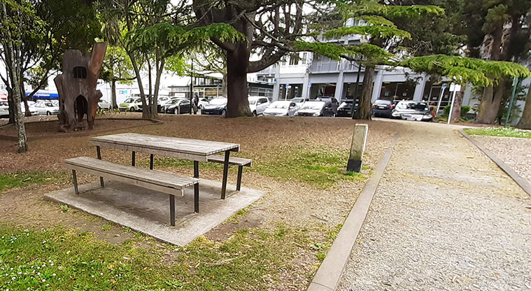 Kell Park - Picnic table by the path with the library in the background.