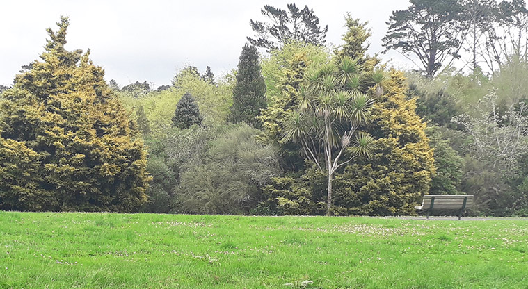 Kell Park - Trees and a park bench.