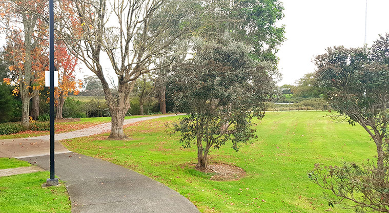 Ken Maunder Park - Footpath under the trees.
