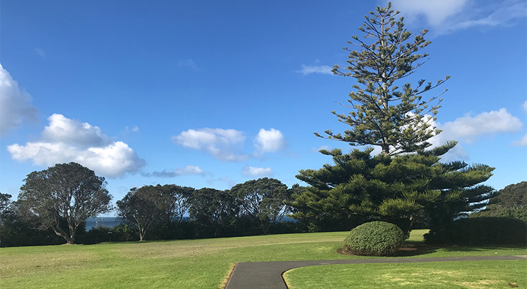 Kennedy Park - Path in the park with established trees in the background.