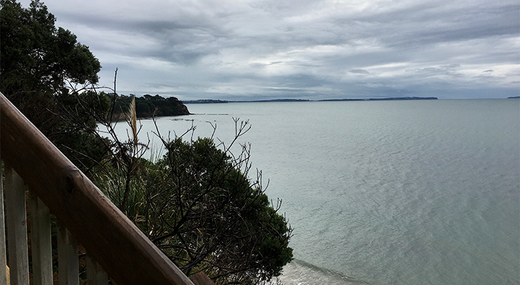 Kennedy Park - View from part way down the stairs leading to the beach. Photo credit: S Hulse.