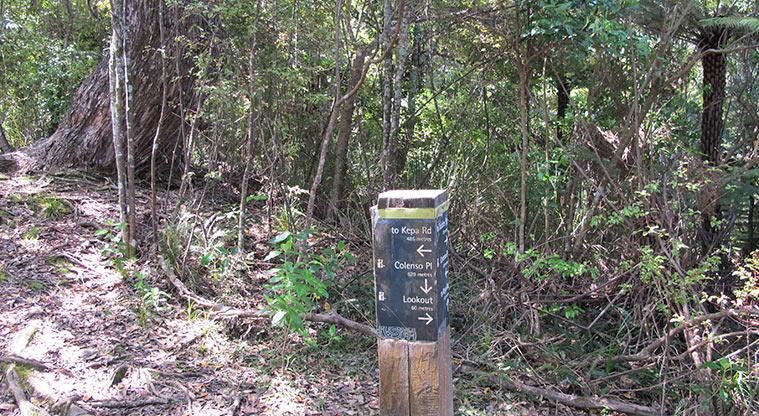 Kepa Bush Reserve - A directional post showing you the direction for each stage of the walk.