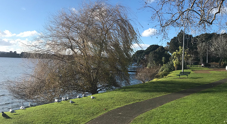 Killarney Park - Path with birdlife, and the lake in the background.