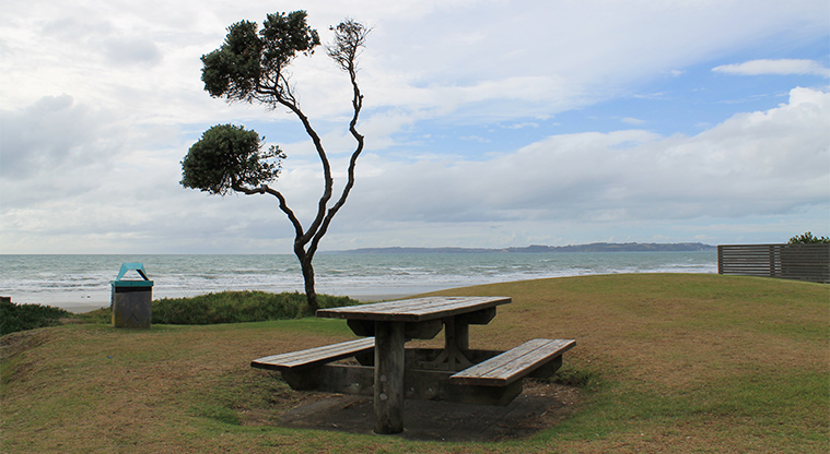 Kinlock Reserve - Picnic table overlooking the beach. Photo credit: M Loubser.