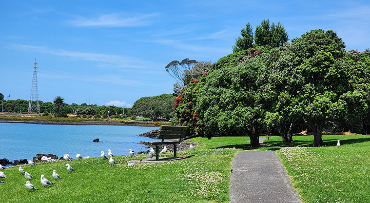 Kiwi Esplanade - Section of path through the park with grassed open space, seagulls on the water's edge and trees.