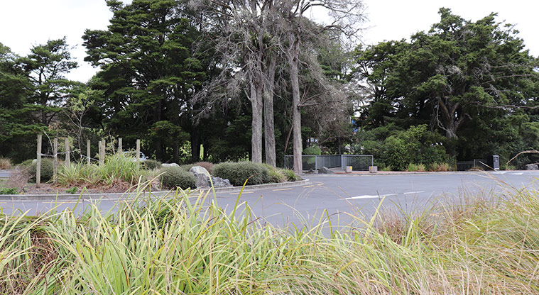Kōwhai Park - Looking in to the main car park from State Highway 1 (SH1).