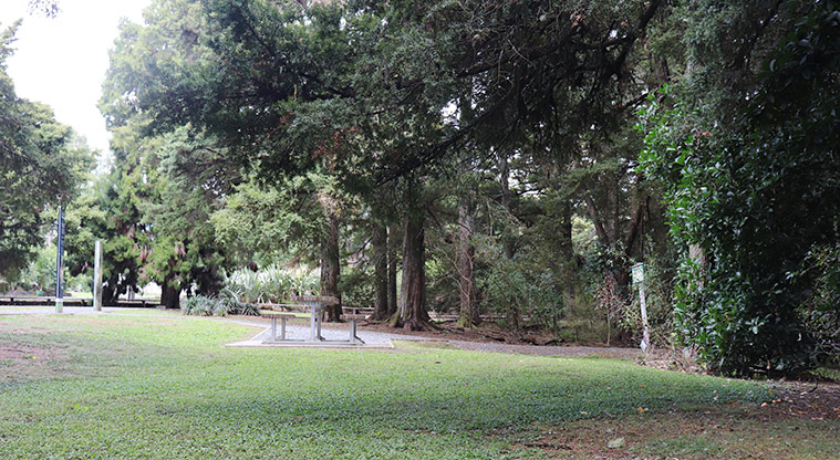 Kōwhai Park - One of the picnic areas.