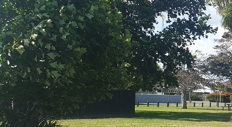 Kuaka Park - Open grassed area with established trees. Photo credit: J Grigg.