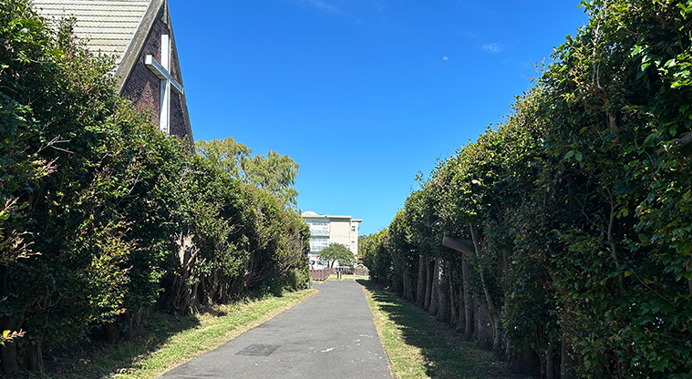 Kupe Reserve - Entrance from Kupe Street. Photo credit: S Hulse.