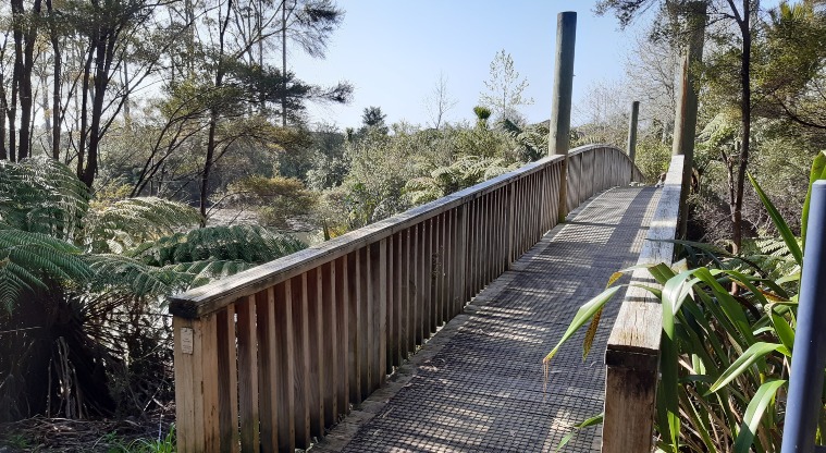 Lake Panorama - Boardwalk with trees and bushes on both sides.