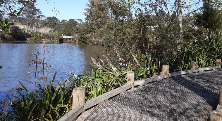 Lake Panorama - Boardwalk with pond on left side.