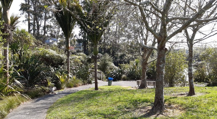Lake Panorama - Walking path with trees on both sides and seating area.