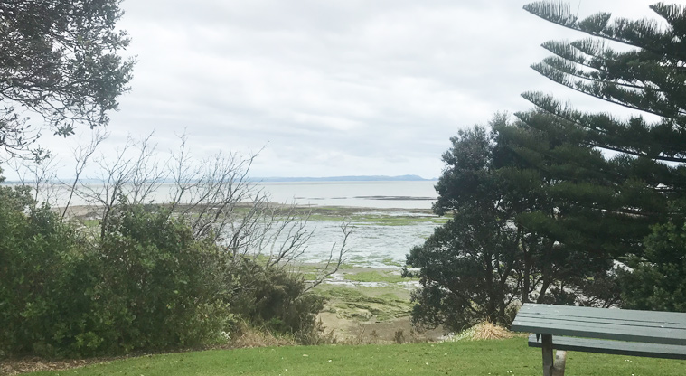 Laurie Gibbons Memorial Park - View over the Papakura Channel from a lookout point.