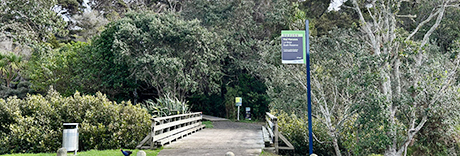 Le Roys Bush Reserve