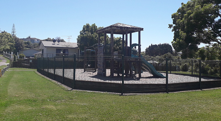 Kohuora / Lendenfield Reserve - Open grassed space with the fully fenced playground.